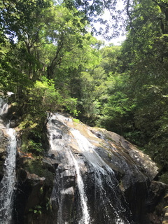75C620D6-197D-4020-A078-A95D8457ABD6.jpg